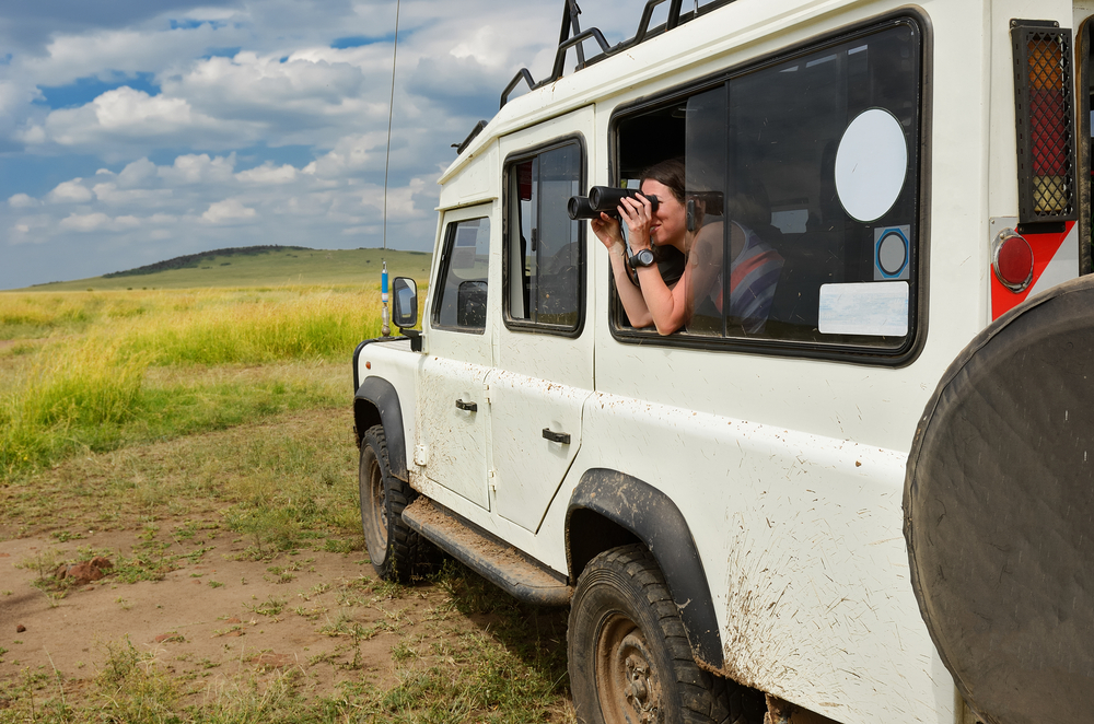 Avec Lookalike Audiences, l’Office du Tourisme d’Afrique du Sud atteint une large audience qualifiée et diminue son CPA de 20%